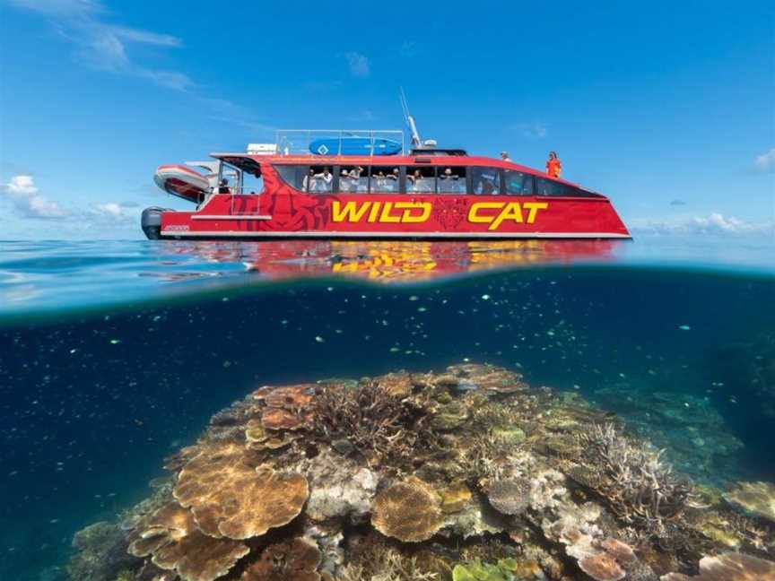 Red Cat Great Barrier Reef Tour From Airlie Beach, Tours in Airlie Beach