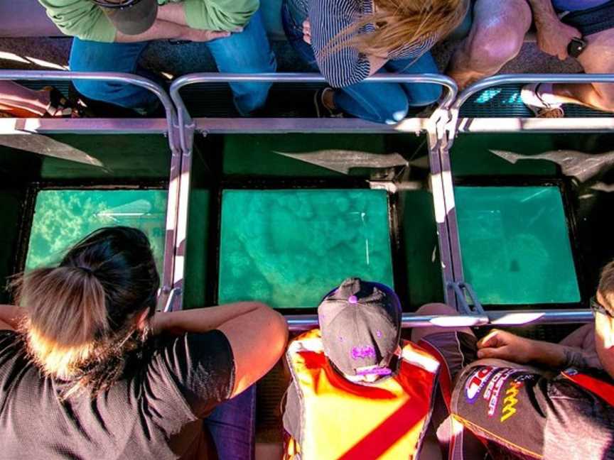 Glass Bottom Boat Tour, Tours in Airlie Beach