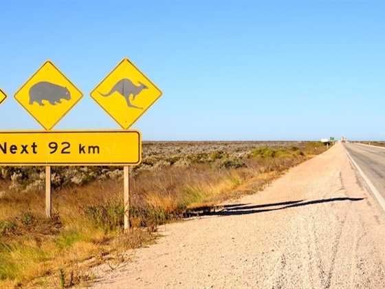 Driving the Nullarbor Plain – Australia’s most iconic road trip
