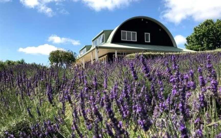 Lavender Hill, Kumeu, New Zealand