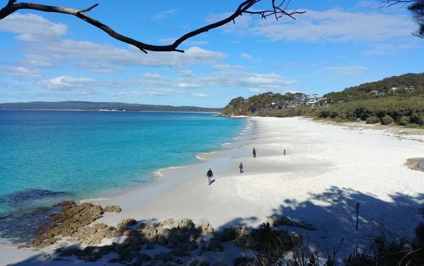 Jervis Bay National Park, Nature & Trails in Wollumboola
