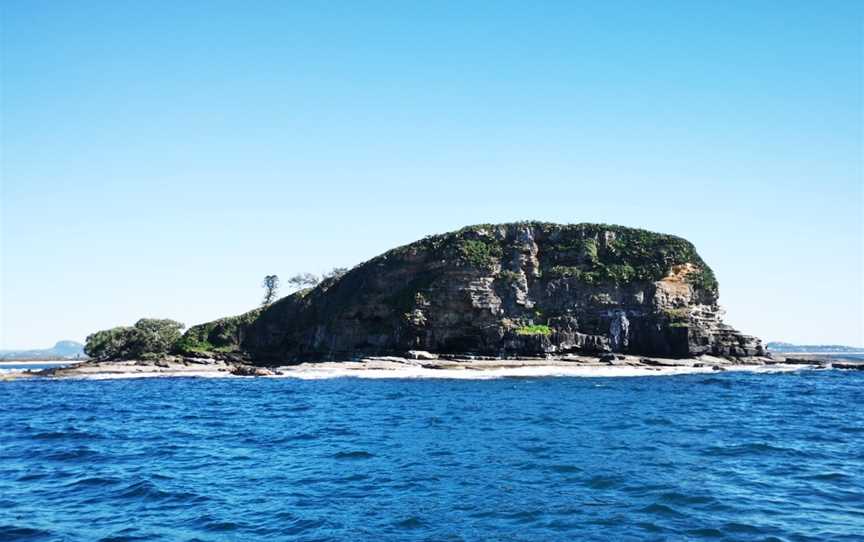 Mudjimba (Old Woman) Island Dive Site, Heron Island, QLD