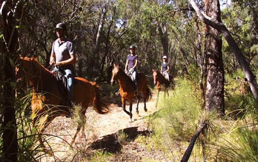 Mirravale Riding School, Tours in Yallingup
