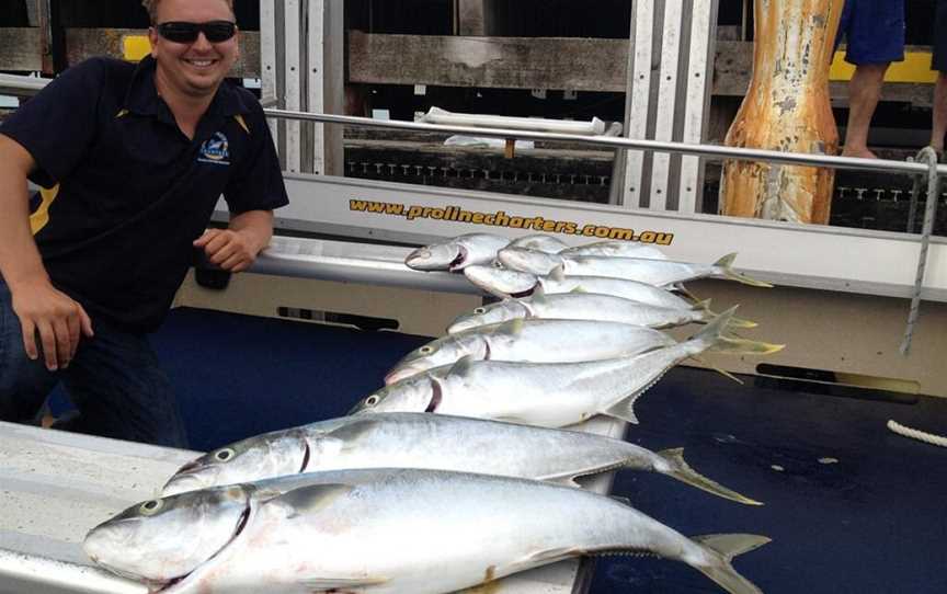 Proline Fishing Charters, Sorrento, VIC