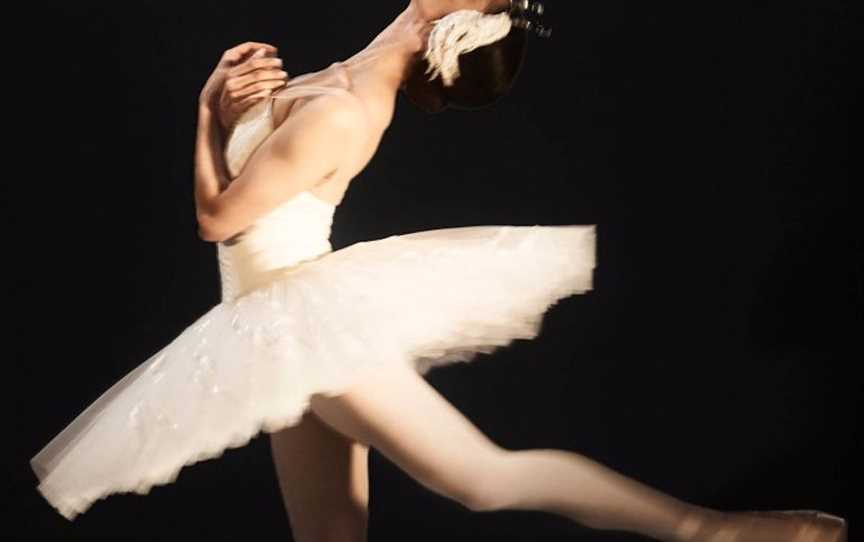 Swan Lake | Adelaide, Events in Adelaide