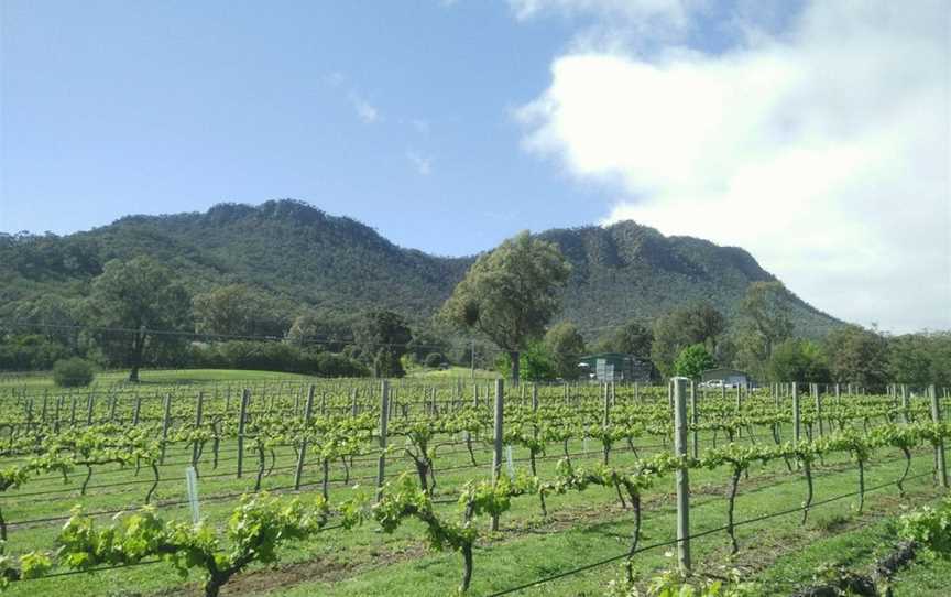 Mount Cathedral Vineyards, Taggerty, Victoria