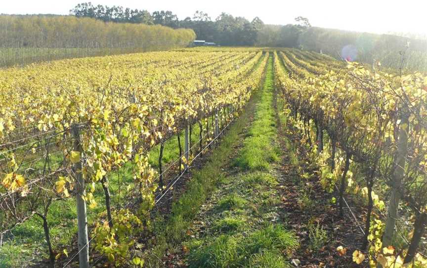 Caroline Hills Winery, Yahl, South Australia