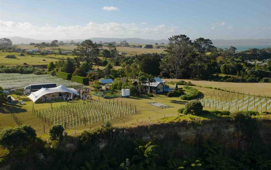 Cliff Edge Wines, Manukau Heads, New Zealand