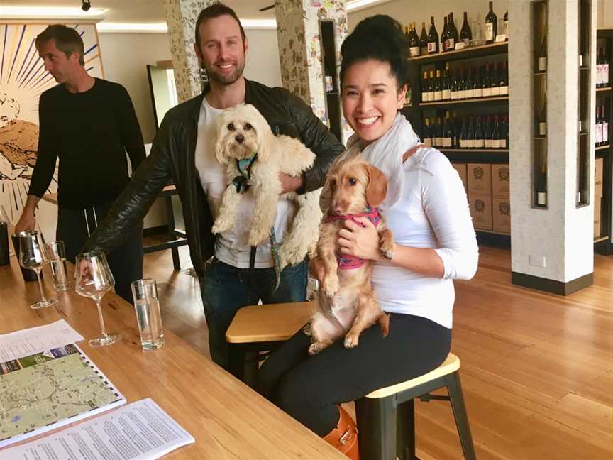 Pooches and Pinot Wine Tours, Healesville, VIC