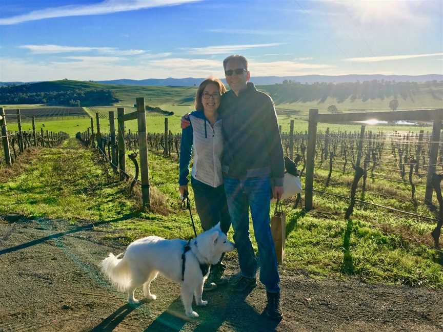 Pooches and Pinot Wine Tours, Healesville, VIC