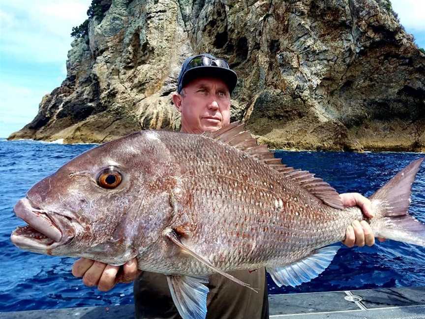 Epic Adventures Fishing Charters, Russell, New Zealand