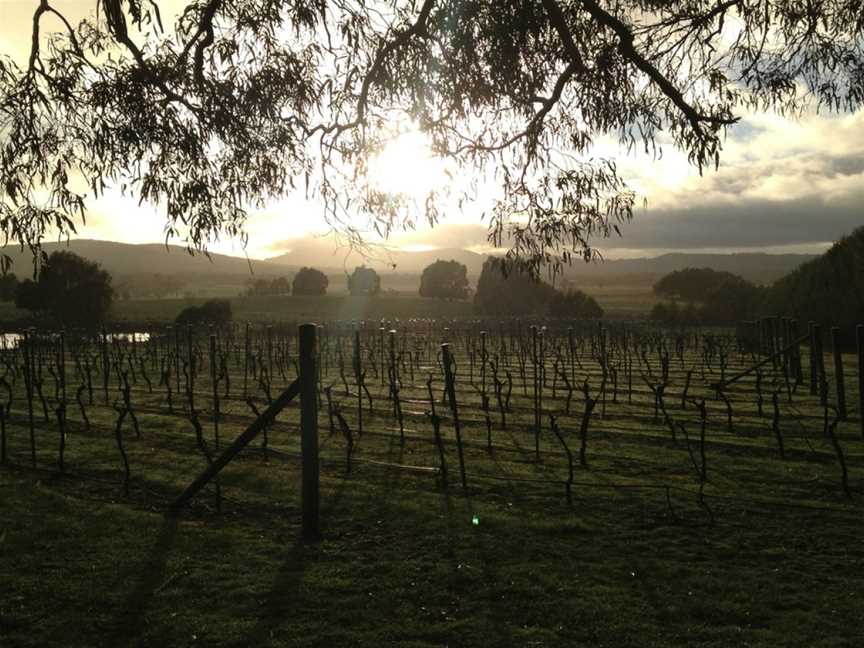 Lyons Will Estate, Wineries in Lancefield